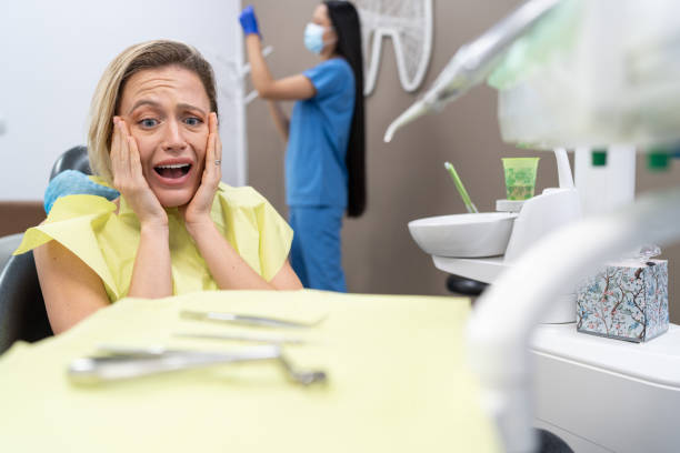 Best Emergency Dental Care for Broken or Chipped Teeth in Mowbray Mountain, TN